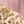 Beige Wildflower Print