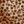 Beige Vine Floral