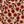 Beige Vine Floral