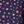 Navy Stars