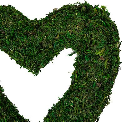 Northlight Green Reindeer Moss Heart Twig Artificial Wreath