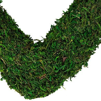 Northlight Green Reindeer Moss Heart Twig Artificial Wreath
