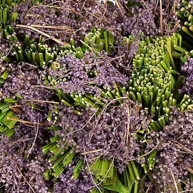 Northlight Moss and Twig Valentine's Day Heart Artificial Wreath