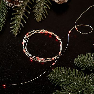 Northlight 50-Count Red LED Micro Fairy Christmas Lights