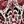 Rose Leaf Tile