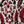 Rose Leaf Tile