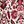 Rose Leaf Tile