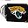 Jaguars