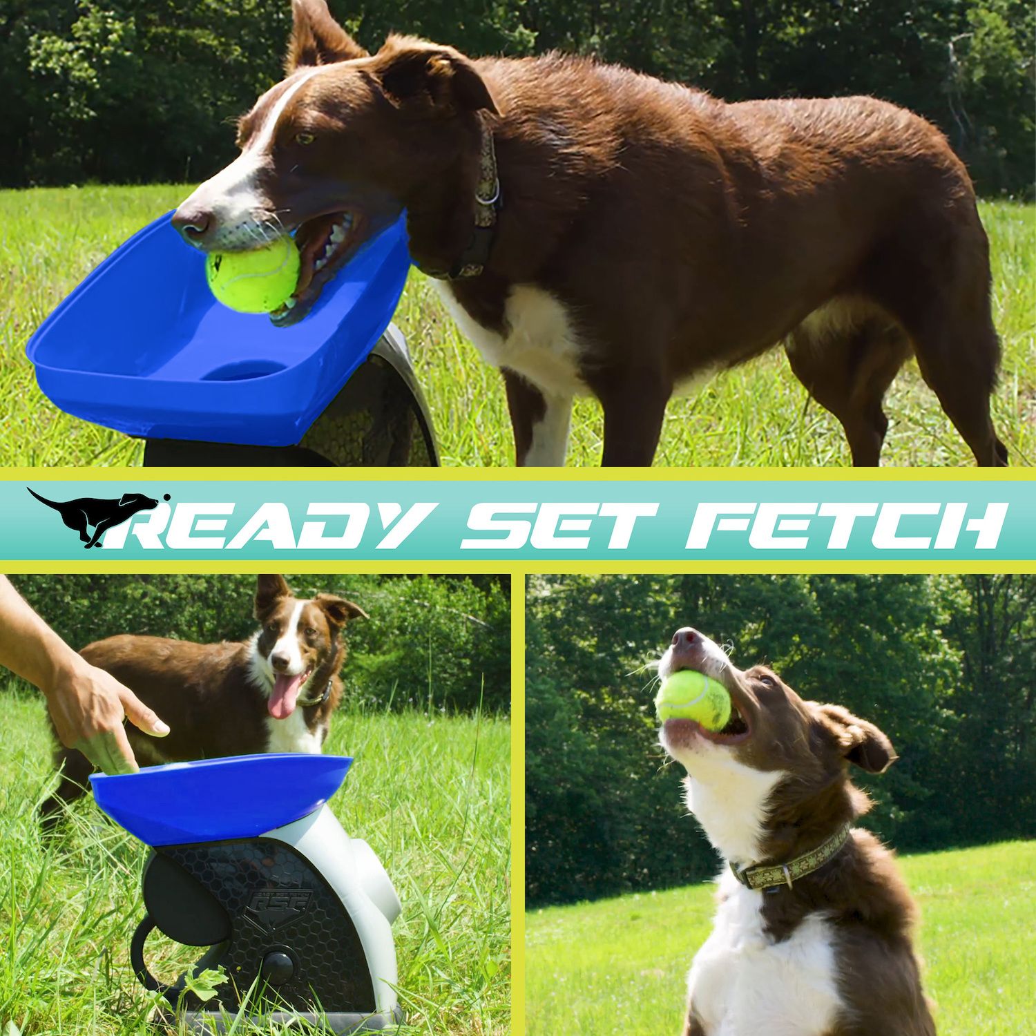 Franklin Sports Pet Ready Set Fetch Automatic Tennis Ball Launcher Dog Toy