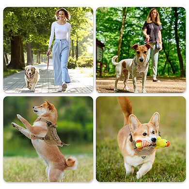Dog Harness, Mesh Design Dog Harness, Breathable No Pull Dog Vest, for Hiking