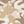 Tan Dino Camo