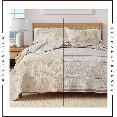 Madelinen® Tropical Palm Cotton Quilt Set with Shams