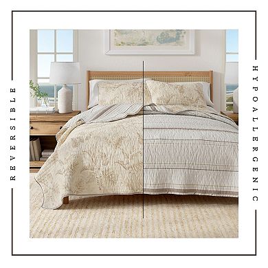 Madelinen® Tropical Palm Cotton Quilt Set with Shams