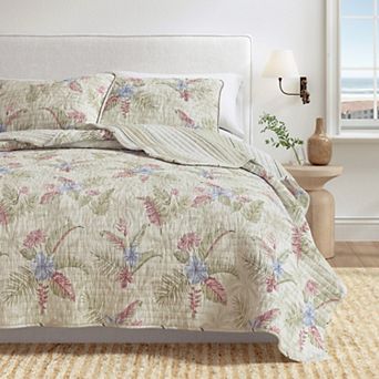 Madelinen® Tropical Palm Cotton Quilt Set with Shams