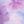 Purple Blue Combo
