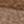 Teak