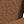 Teak