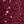 Rich Burgundy