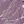 Vintage Lilac