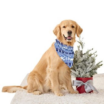 Dreams & Co. Pet Scarf