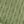 Grass Green
