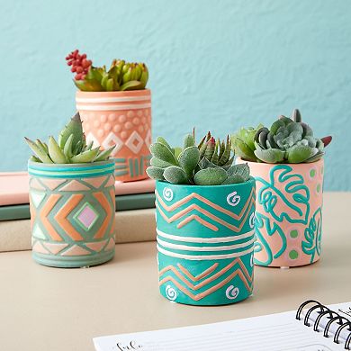 Set of 4 Paint Your Own Ceramic Succulent Planter Set, Bohemian Themed