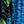 Blue Gamer