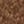 Teak