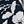 Navy White