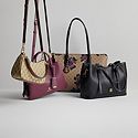 Fall Handbags & Accessories