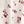 Ivory Print