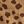 Tan Cheetah Print