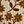 Beige Vine Floral