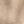 Beige Terrain