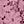 Pale Mulberry