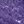 Midnight Violet