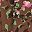 Mocha Vintage Bloom