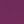 Orchid Purple