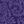 Midnight Violet