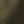 Armygreen