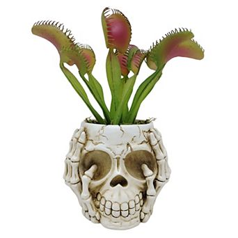 Celebrate Together™ Halloween Skeleton Planter Table Decor