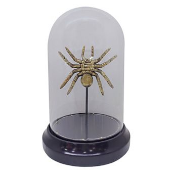 Celebrate Together™ Halloween LED Spider Glass Dome Table Decor