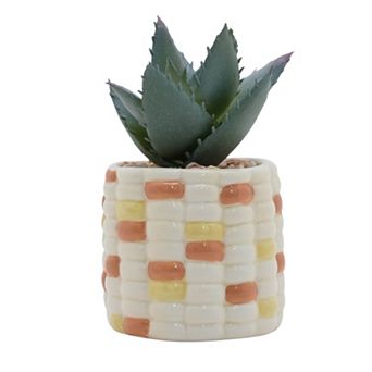 Celebrate Together™ Fall Mini Ceramic Succulent in Fall Corn Design Table Decor