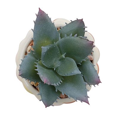 Celebrate Together™ Fall Mini Ceramic Succulent in Fall Corn Design Table Decor