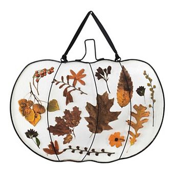 Celebrate Together™ Fall Pressed Botanical Pumpkin Wall Decor