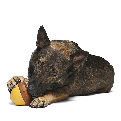 BARK Acornucopia Treat Dispensing Toy