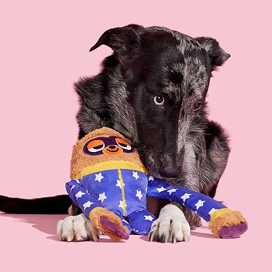 BARK Slow Jams Dan Dog Toy