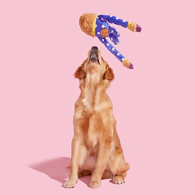 BARK Slow Jams Dan Dog Toy