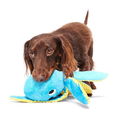 BARK Odd Otto Dog Toy