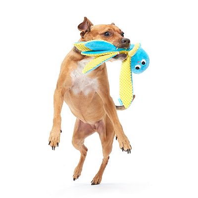 BARK Odd Otto Dog Toy